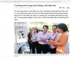 Ý tưởng mới trong nuôi trồng chế biến tảo