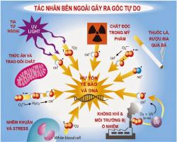 Cách giải độc kim loại nặng khoa học